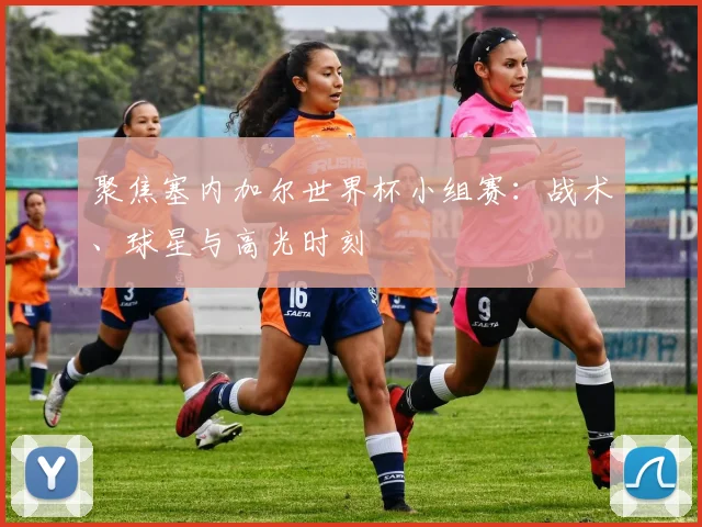 聚焦塞内加尔世界杯小组赛:战术、球星与高光时刻